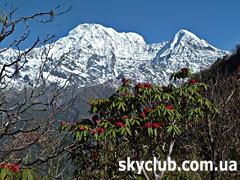 Трекинг в Непале, к подножию Аннапурны, Марди-Химал трек 