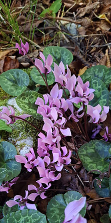 Тур по Хорватии