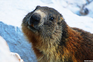 Поход по Доломитам