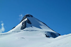 Лайла