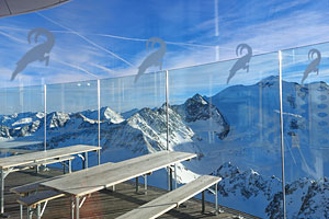 Горнолыжный тур с обучением Питцталь